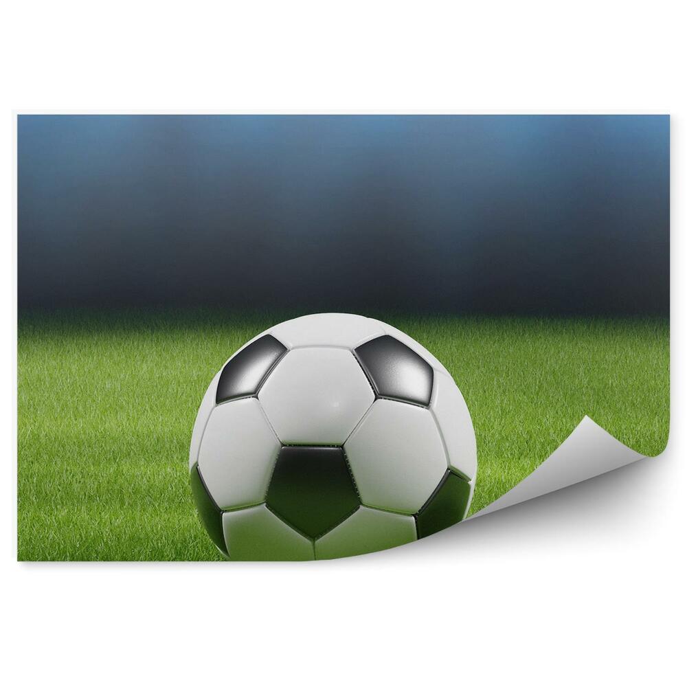 Fototapeta Fotbalový trávník travnaté světla