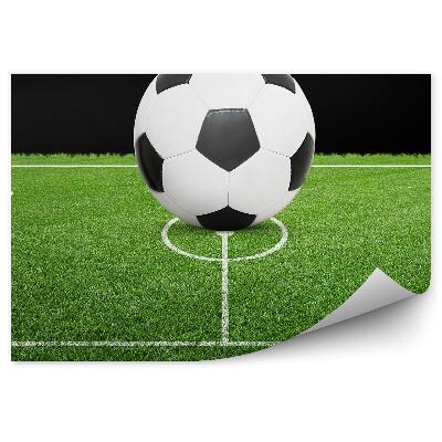 Fototapeta na zeď Fotbalové branky fotbalový trávník