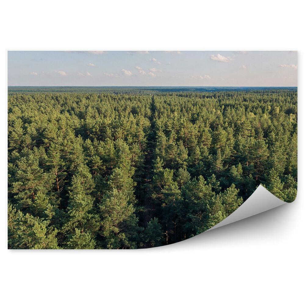 Fototapeta Letecký pohled na horizont vánočního stromku