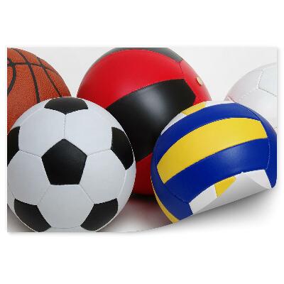 Fototapeta na zeď Míče sport