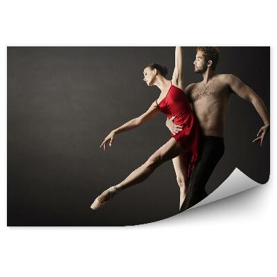 Samolepící fototapeta Klasická tanečnice baletka