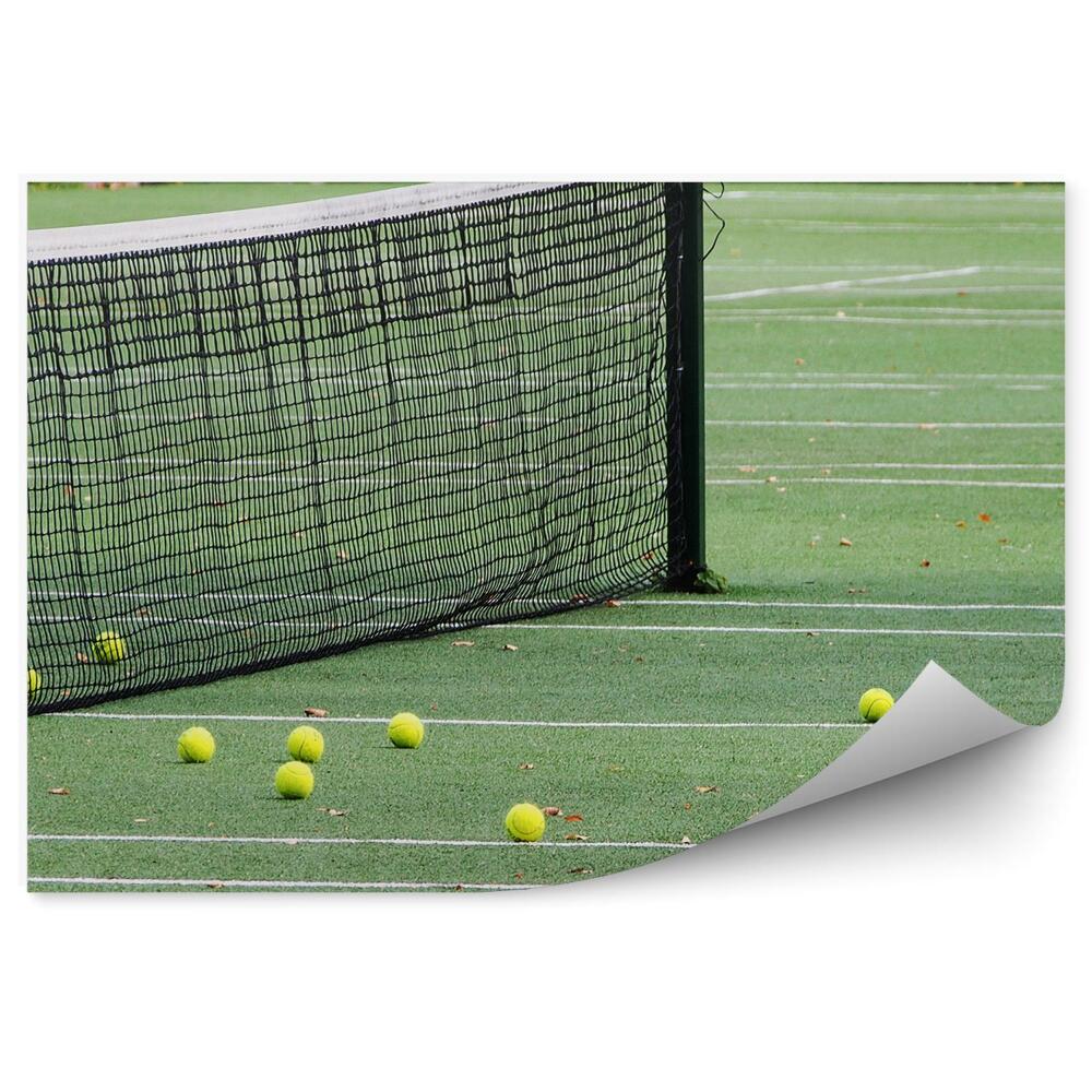 Samolepící fototapeta Tenisový kurt míče síť