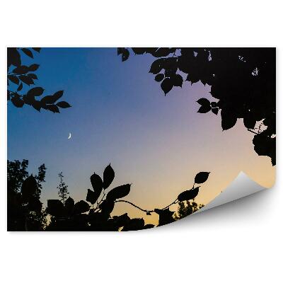 Samolepící fototapeta Listy při západu slunce