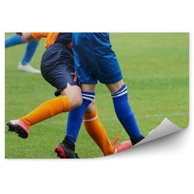 Samolepící fototapeta Fotbalový trávník fotbal