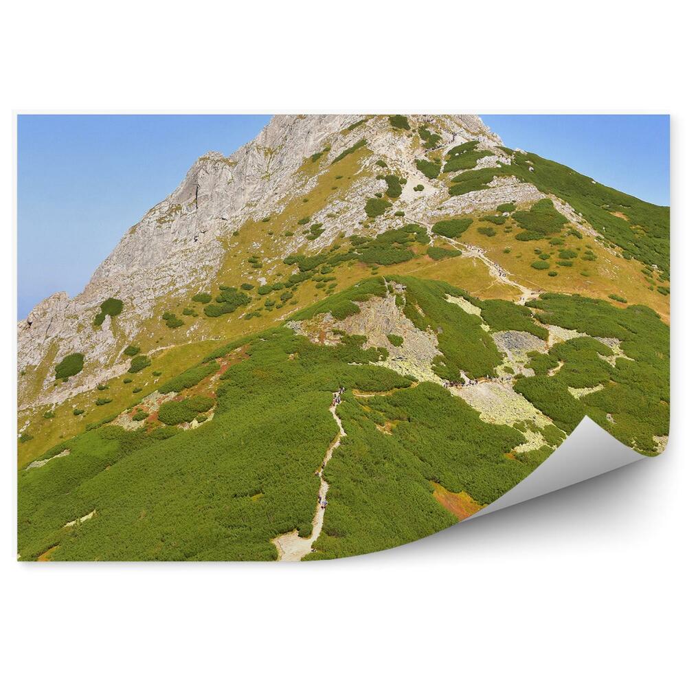 Fototapeta Lidé stoupající na vrchol hory cesta