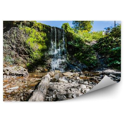 Fototapeta na zeď Malý vodopád vegetace skály Bieszczady