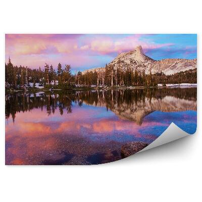 Samolepící fototapeta Národní park kopce sníh Vánoční stromky odraz ve vodě