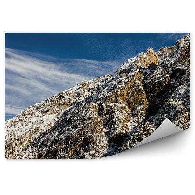 Fototapeta na zeď Zasněžené stromy Vánoční stromek Vrchol hory