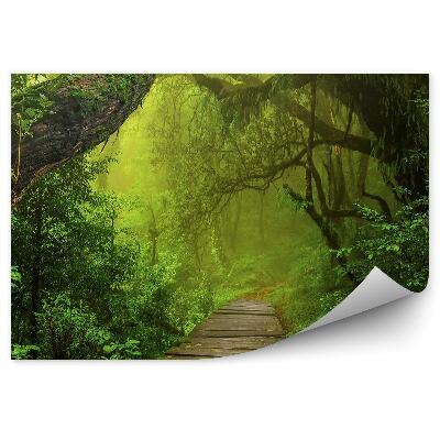 Fototapeta na zeď Asijské tropické džungle dřevěné keře