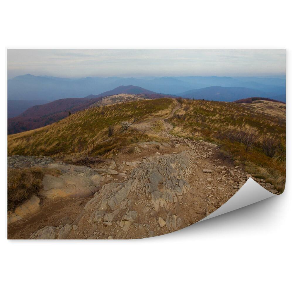 Fototapeta na zeď Hory cesta cesta kameny vegetace podzim