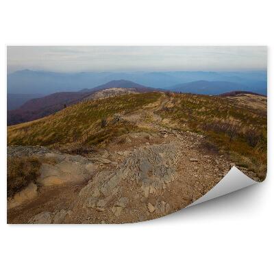 Fototapeta na zeď Hory cesta cesta kameny vegetace podzim