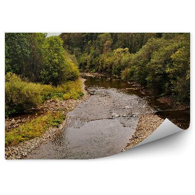 Fototapeta Přechod přes řeku les stromy vegetace