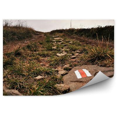 Fototapeta na zeď Horská stezka tráva zelená