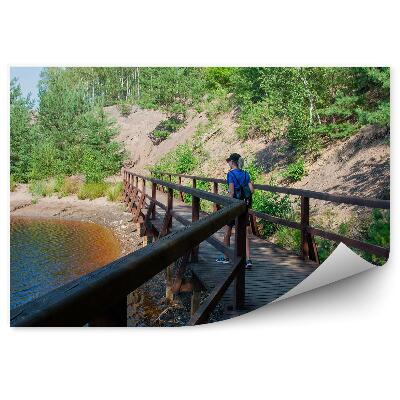 Fototapeta na zeď Molo turistické zelené přírody