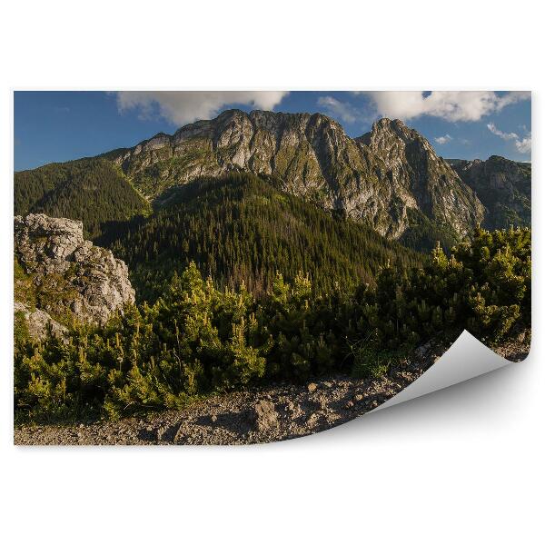 Fototapeta na zeď Giewont Tatry jehličnaté stromy skály nebe mraky