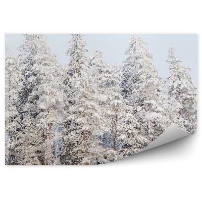 Fototapeta Sněžné Vrcholky