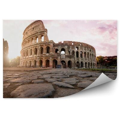 Fototapeta Krásná perspektiva architektury Kolosea