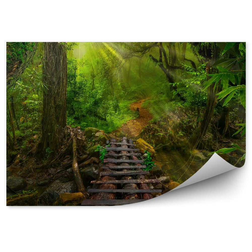 Fototapeta Asijské tropické džungle dřevěné molo