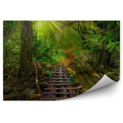 Fototapeta Asijské tropické džungle dřevěné molo