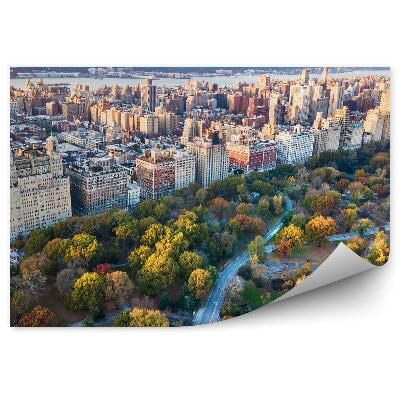 Fototapeta Architektura města stromy park podzim