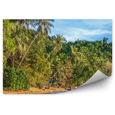 Fototapeta Filipíny ostrov loď zelená vegetace