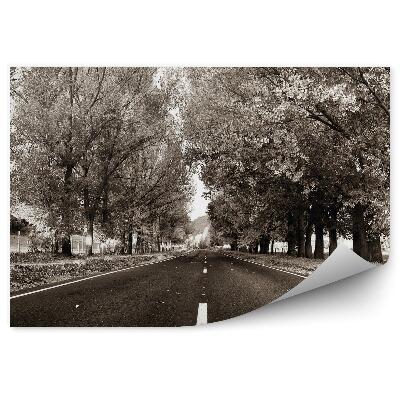 Fototapeta Silnice země stromy vegetace