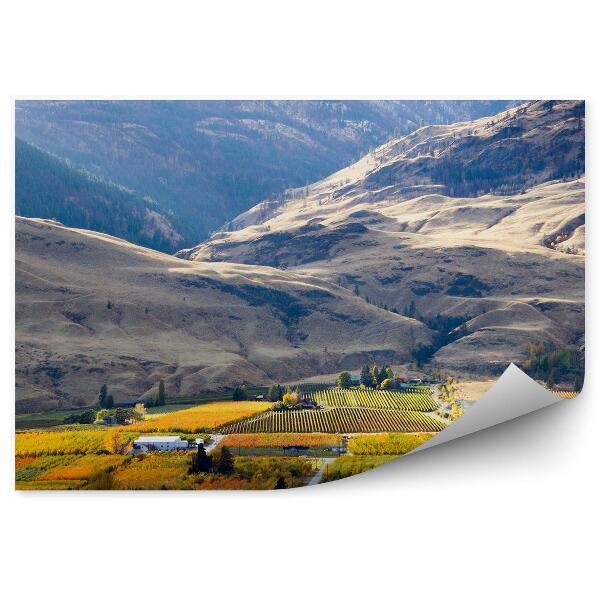 Fototapeta Hory pole domy