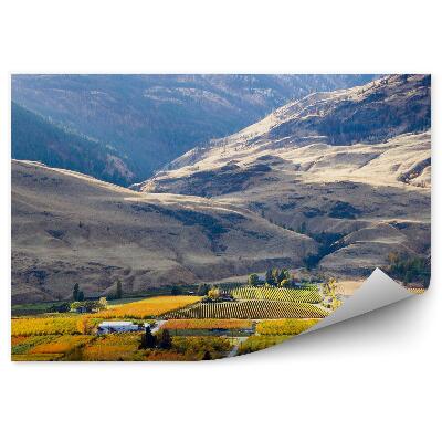 Fototapeta Hory pole domy