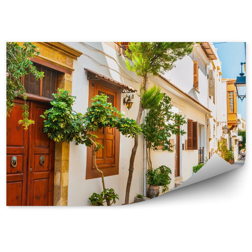 Fototapeta na zeď Ulice rostliny bílá Řecko