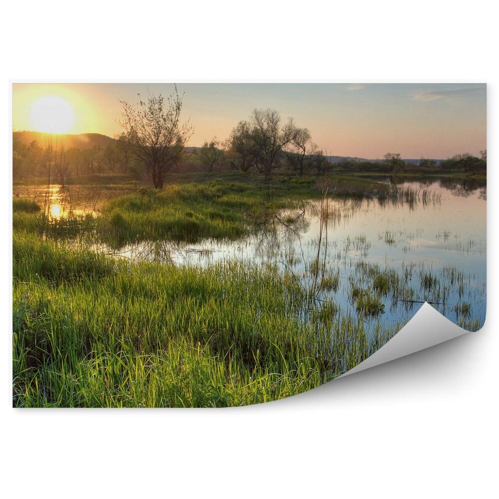 Fototapeta Rybník stromy rostliny trávy západ slunce obloha mraky