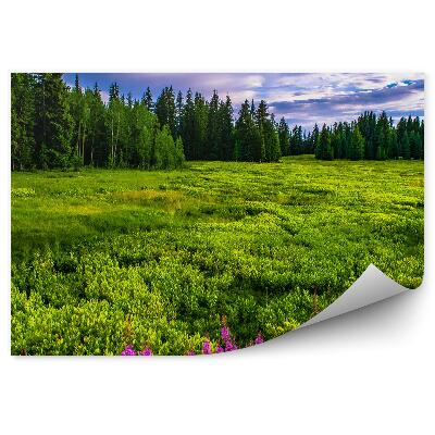 Fototapeta Vánoční strom mýtina s barevnými květy