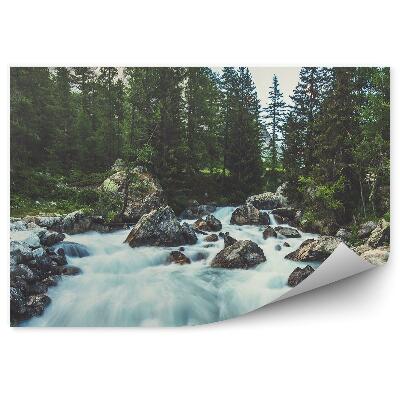 Fototapeta Jehličnatý les hory vodopád kameny