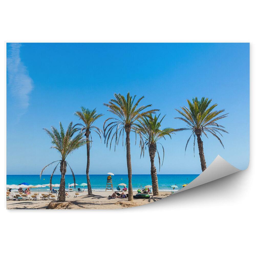 Fototapeta Pláž oceán most tradiční proutěná křesla