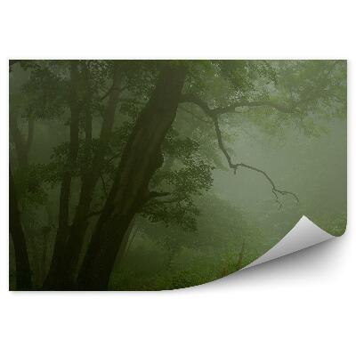 Samolepící fototapeta Mlžný les