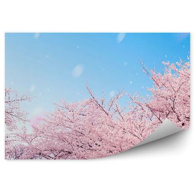 Samolepící fototapeta Růžové stromy obloha mraky obloha déšť