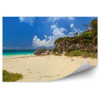 Fototapeta na zeď Karibská pláž útes příroda palmy