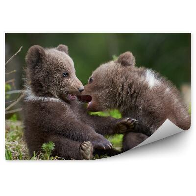 Samolepící fototapeta Medvědi v lese