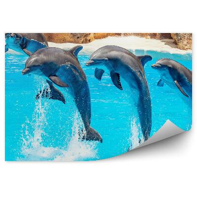Samolepící fototapeta Akrobacie delfínů