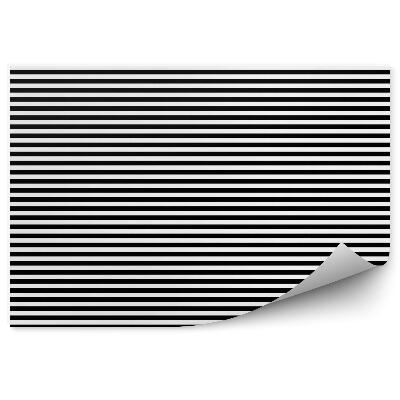 Samolepící fototapeta Černobílý pruhovaný horizontální vzor
