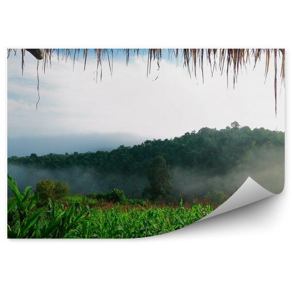 Samolepící fototapeta Les v mlze Pohled z chalupy na vrcholky stromů