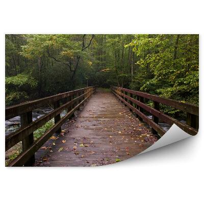 Samolepící fototapeta Mosty listy stromy keře listy obloha