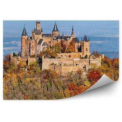 Samolepící fototapeta Zámek Hohenschwangau Bavorské Alpy jehličnaté stromy hory