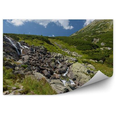 Samolepící fototapeta Vodopád Tatry letní polské přírody