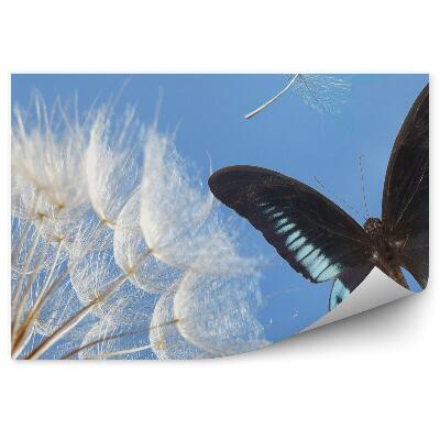 Samolepící fototapeta Semena pampelišky motýli rostliny