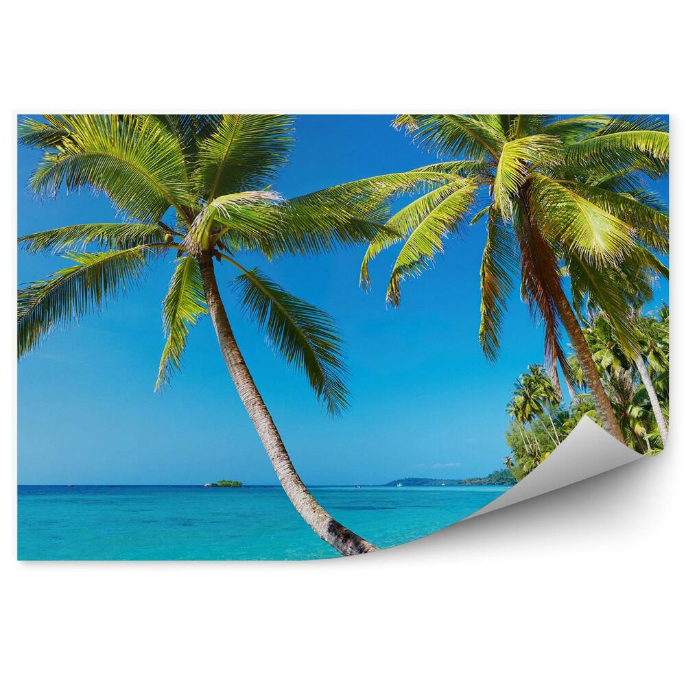 Fototapeta Palmová pláž tropické Thajsko