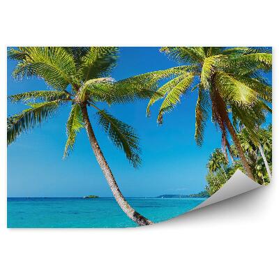 Fototapeta Palmová pláž tropické Thajsko