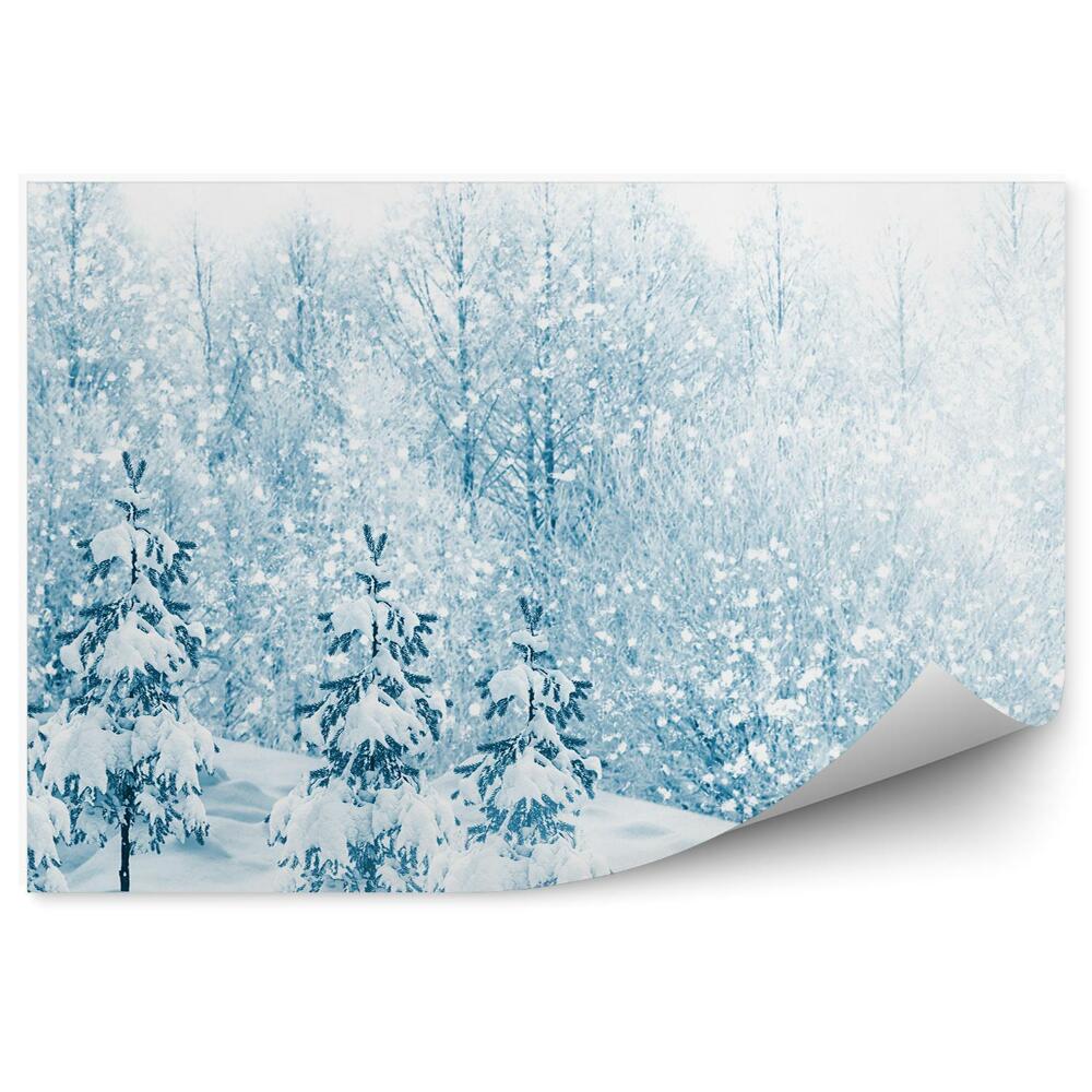 Samolepící fototapeta Pohádková Sněhová Krajina