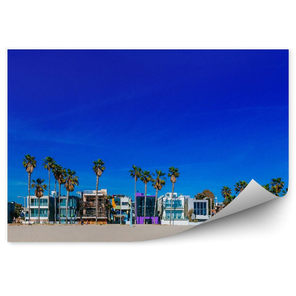 Fototapeta Venice Beach palmy město domy písek