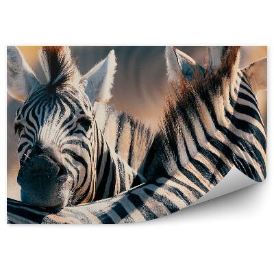 Fototapeta na zeď Zebra v buši divoká Afrika zvířata