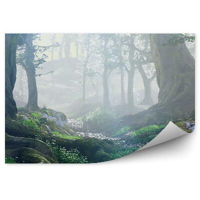 Fototapeta Kouzelný les fantazie